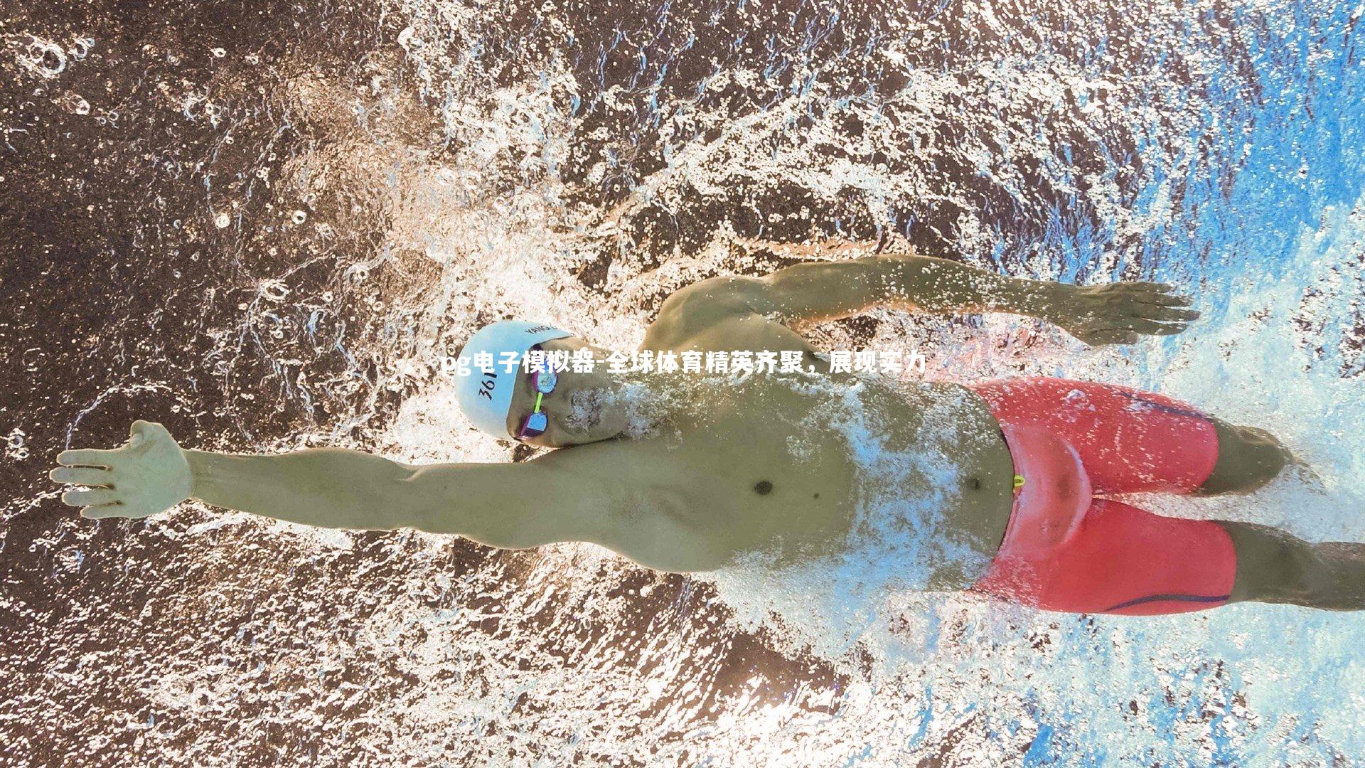 全球体育精英齐聚，展现实力