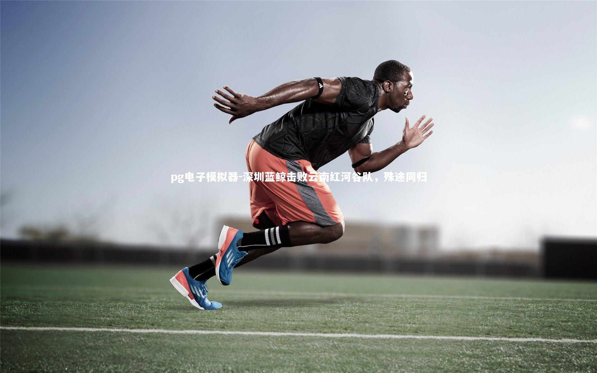 深圳蓝鲸击败云南红河谷队，殊途同归